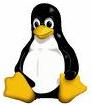 Click Here For More Info On Linux Hosting