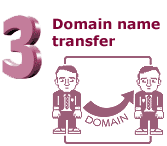 Domain Name Transfer